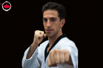 Private Taekwondo Training with an Olympic Athlete
